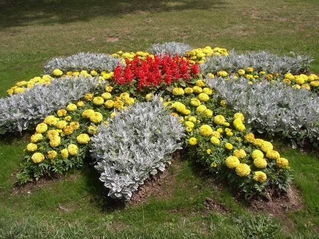 vrt-cvijece-floraart